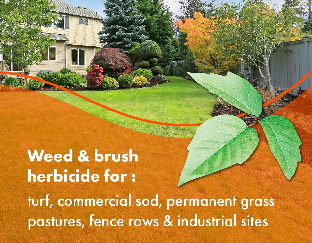 32oz Concentrated Post-Emergent Herbicide for Woody Plants & Broadleaf Weed Control Z9692