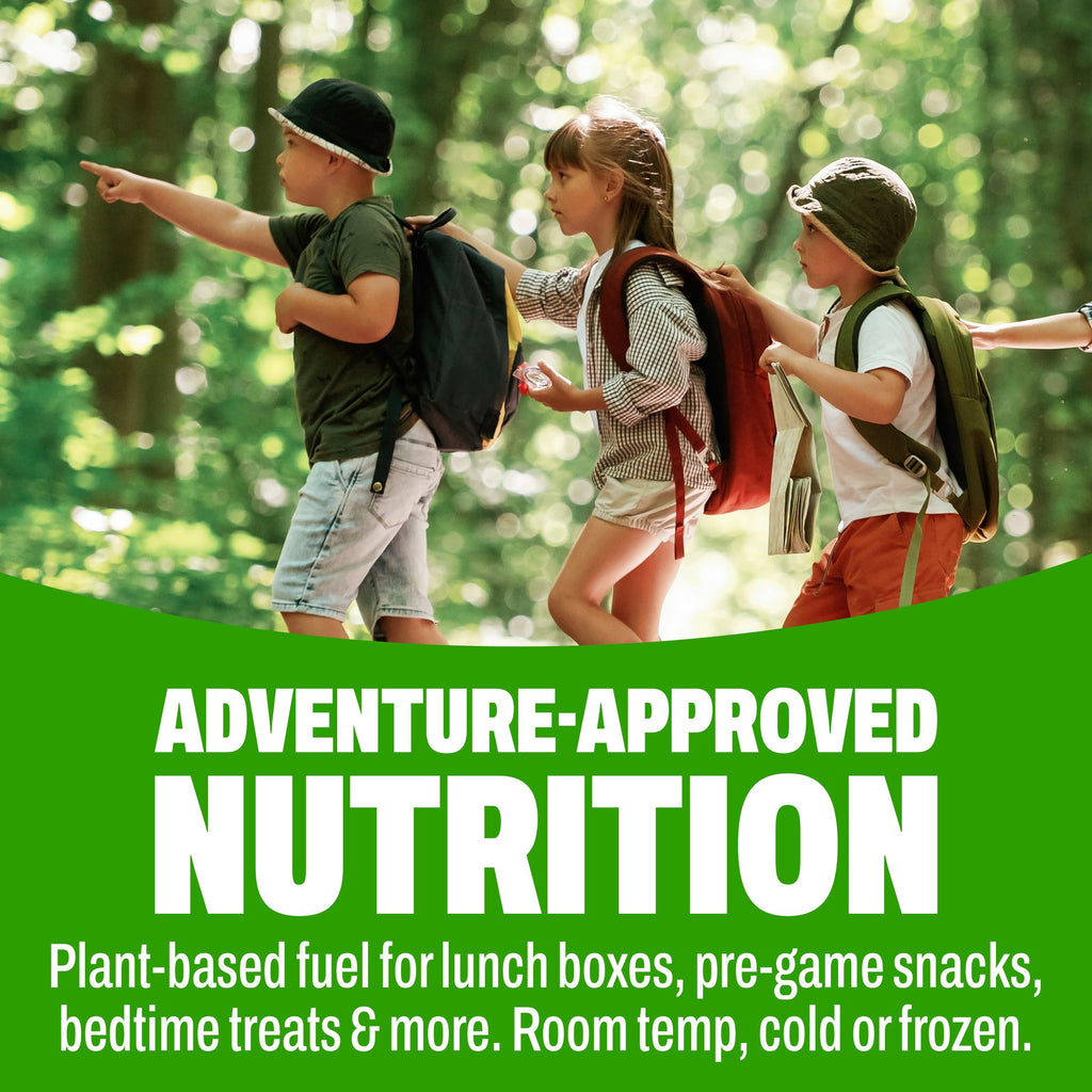Organic Kids Vegan Protein Shakes Vanilla 8g Plant Protein 8 Fl Oz 12 Pack S265