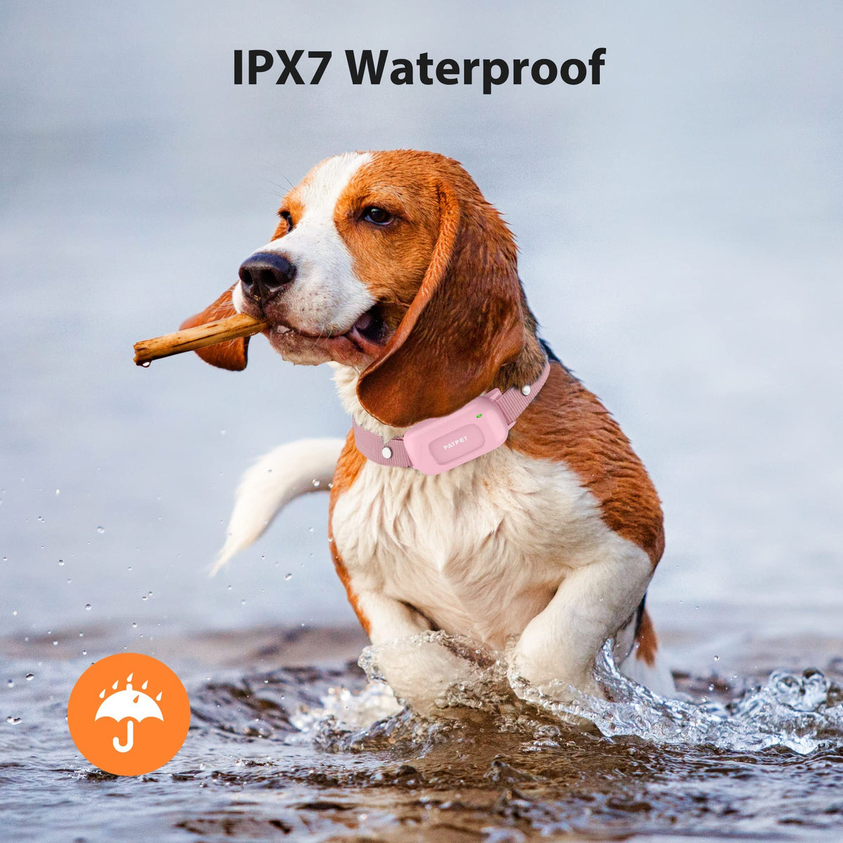 Rechargeable IPX7 Waterproof Dog Training Collar with Remote Q2901