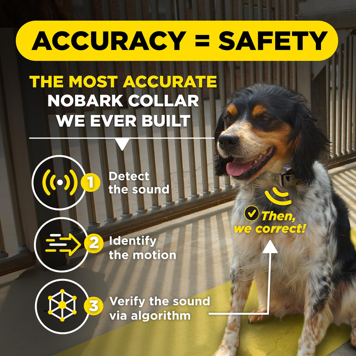 Waterproof E-Collar for 10 lb Dogs G2794