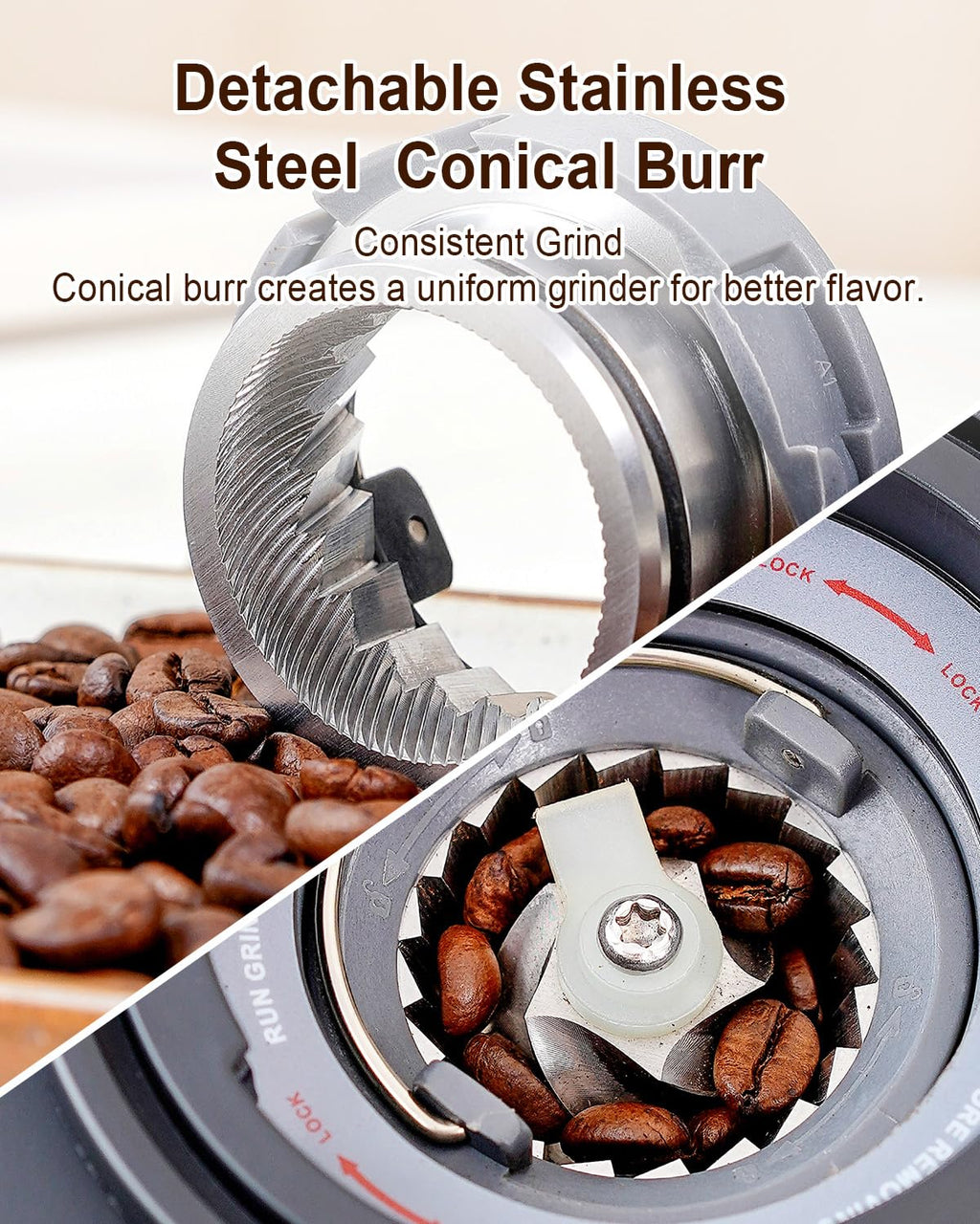 Electric Conical Burr Coffee Grinder with Scale F9655