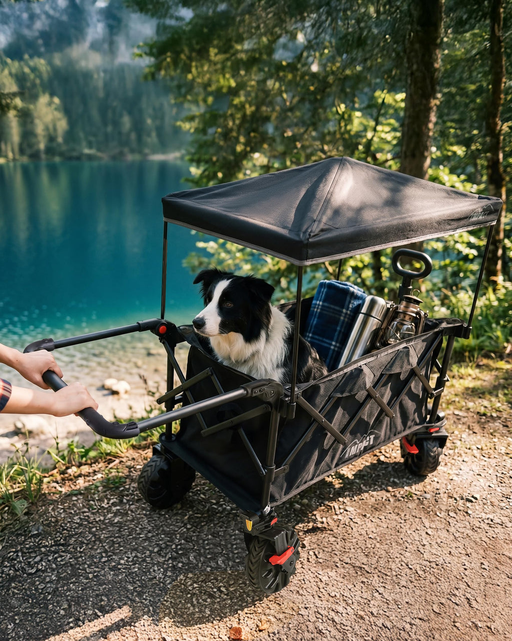 Foldable Push Wagon with Canopy G960