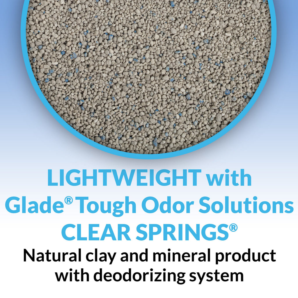 Clumping Low Dust Lightweight Cat Litter 6 lb Z406369
