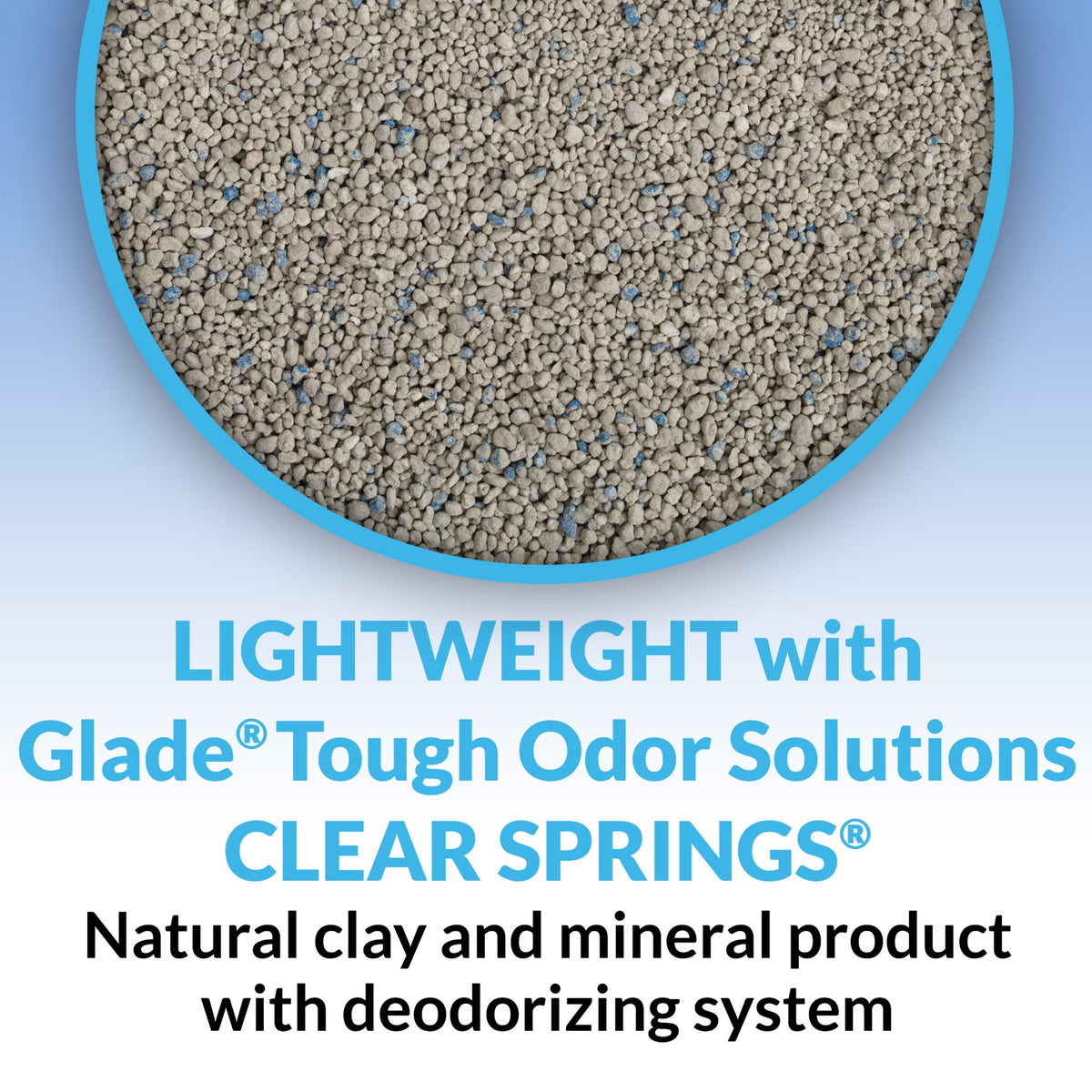 Clumping Low Dust Lightweight Cat Litter 6 lb Z406369